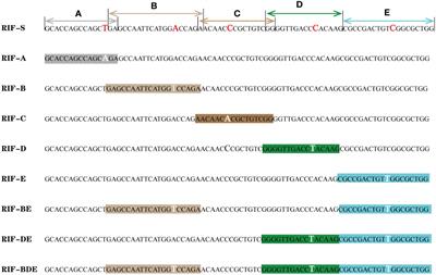 Construction and application of a heterogeneous quality control library for the Xpert MTB/RIF assay in tuberculosis diagnosis